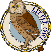 Little Owl of Europe-M