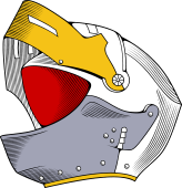 Helmet 53