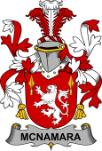 Irish Coat of Arms for McNamara