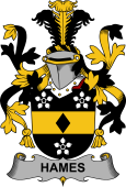 Irish Coat of Arms for Hames