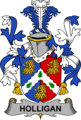 Irish Coat of Arms for Holligan or O'Halligan