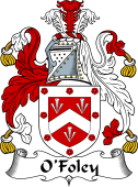 Irish Coat of Arms for O'Foley