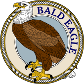 Bald Eagle (Erect)-M