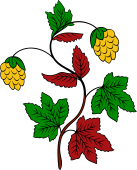 Hop Plant