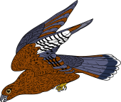 Merlin Falcon