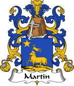 Coat of Arms from France for Martin II