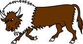 Bison