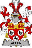 Irish Coat of Arms for Allen