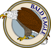 Bald Eagle-M