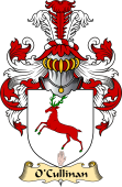 Irish Family Coat of Arms (v.23) for O'Cullinan