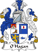 Irish Coat of Arms for O'Hagan