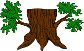 Stem of a Tree Cpd, Eradicated and Sprouting