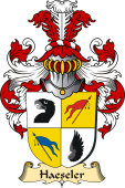 v.23 Coat of Family Arms from Germany for Haeseler