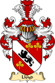 Welsh Family Coat of Arms (v.23) for Lloyd (of Llansteffan, Carmarthenshire)