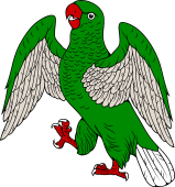 Popinjay or Parrot