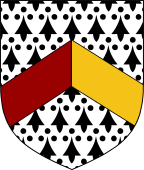 Ermine, A Chevron Per Pale