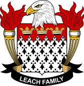 Leach