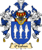 Irish Family Coat of Arms (v.25a) O'Gahan or Gahon