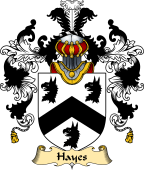 Irish Family Coat of Arms (v.25a) Hayes