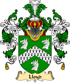 Irish Family Coat of Arms (v.25a) Lloyd